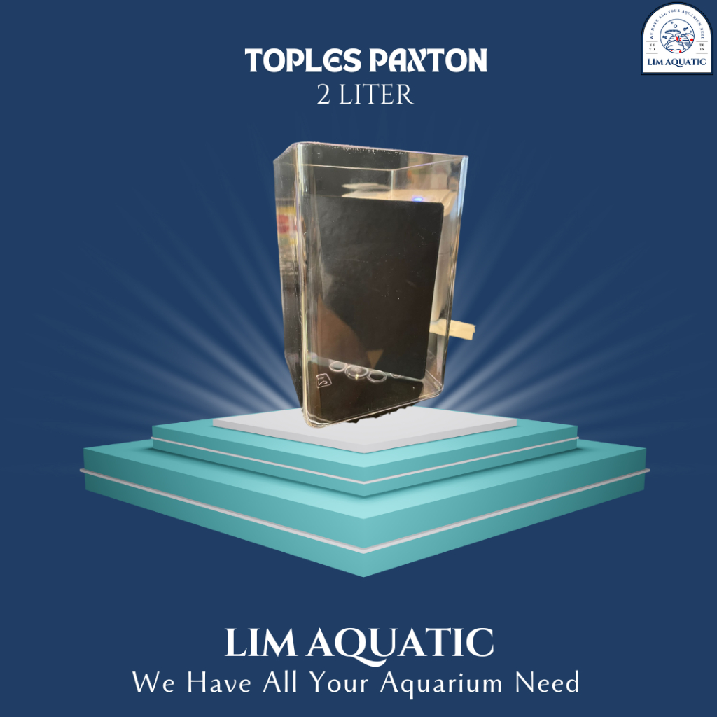 TOPLES PAXTON 2 LITER / TOPLES CUPANG / AQUARIUM CUPANG