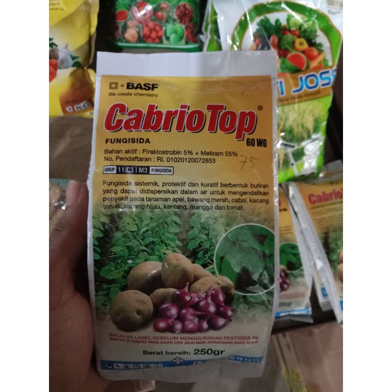 cabrio top 60wg 250gr