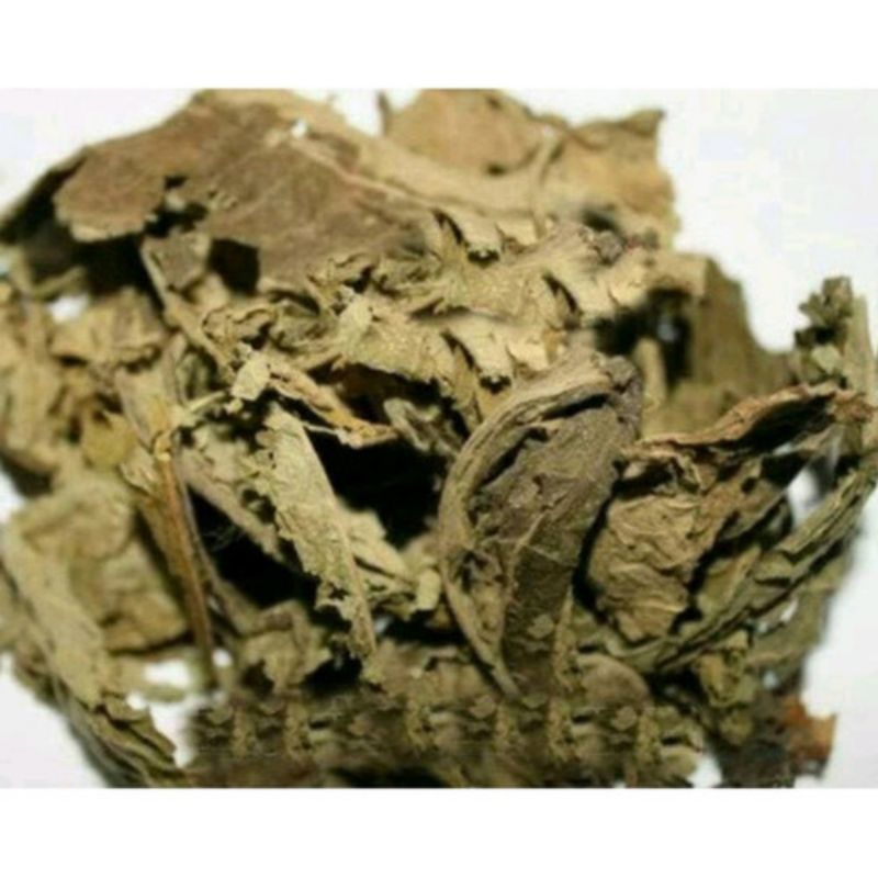 

Daun sembung kering natural organik paket hemat 50 gram