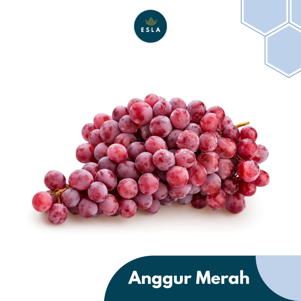 

BUAH ANGGUR I Buah Fresh dan Premium - ESLA