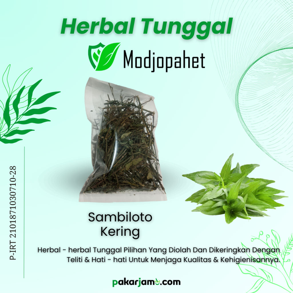

Daun Sambiloto Kering 50g Herbal Modjopahit Herbal tunggal pilihan