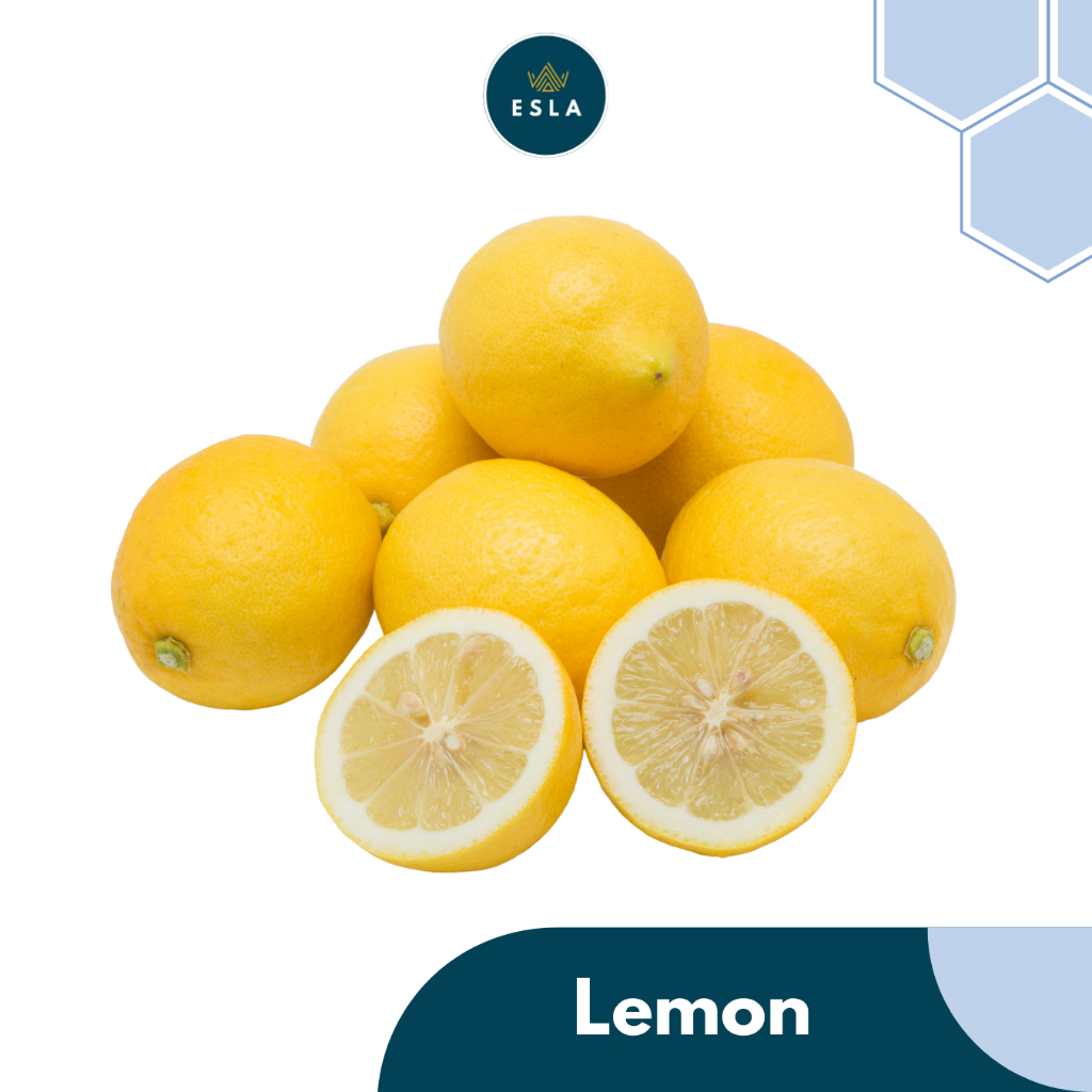 

LEMON IMPORT I Buah Fresh dan Premium - ESLA