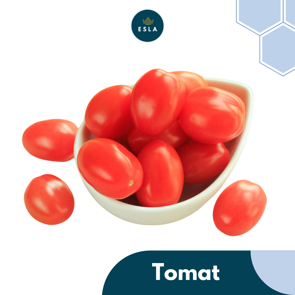 

TOMAT I Buah Fresh dan Premium - ESLA