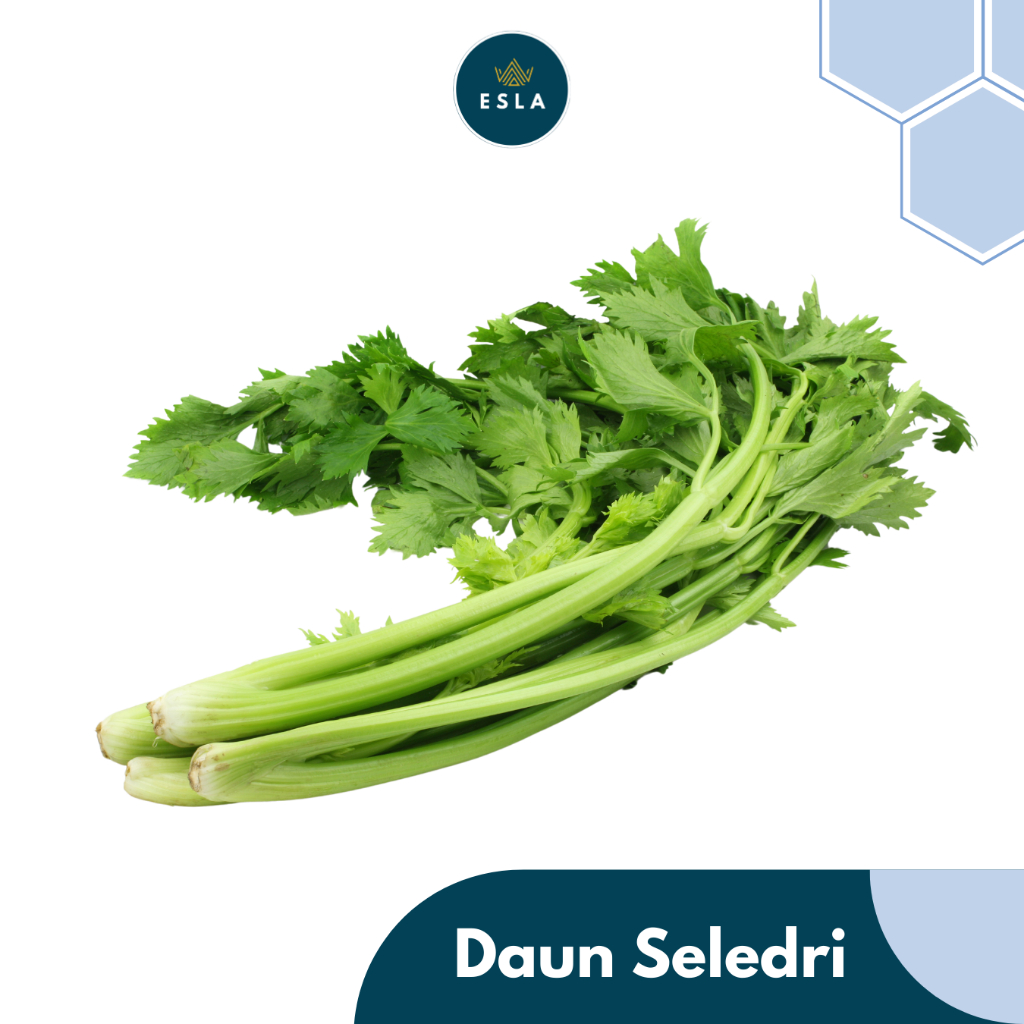 

DAUN SELEDRI I Sayur Fresh dan Premium - ESLA