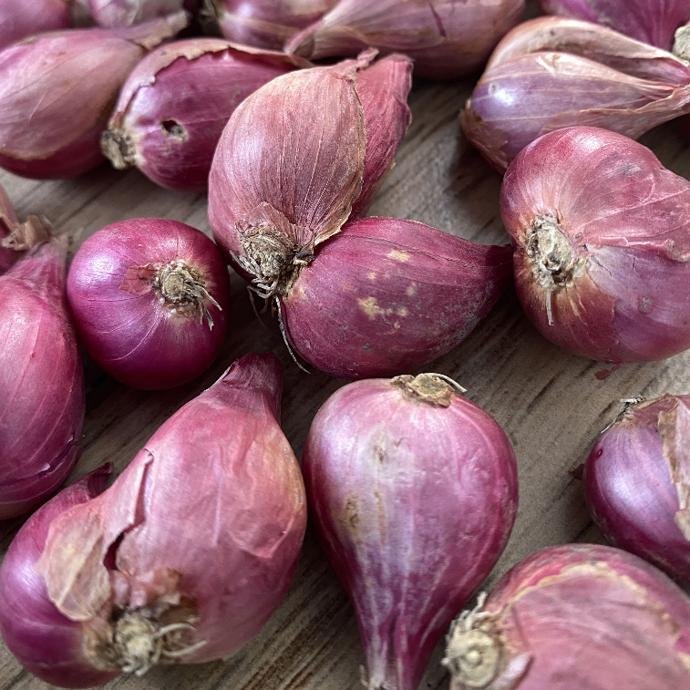 

umbu Masak Bawang Merah Premium Srikayangan