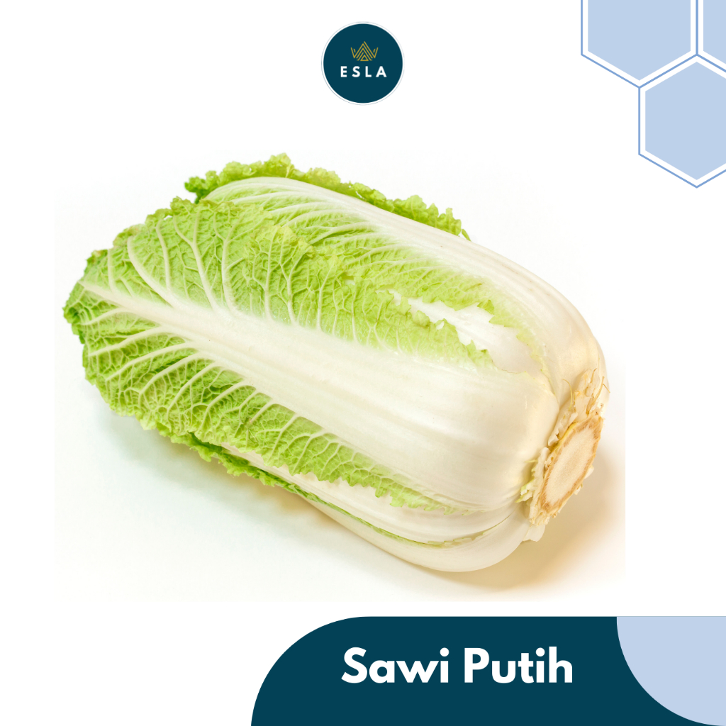 

SAWI PUTIH 1 kg I Sayur Fresh dan Premium - ESLA