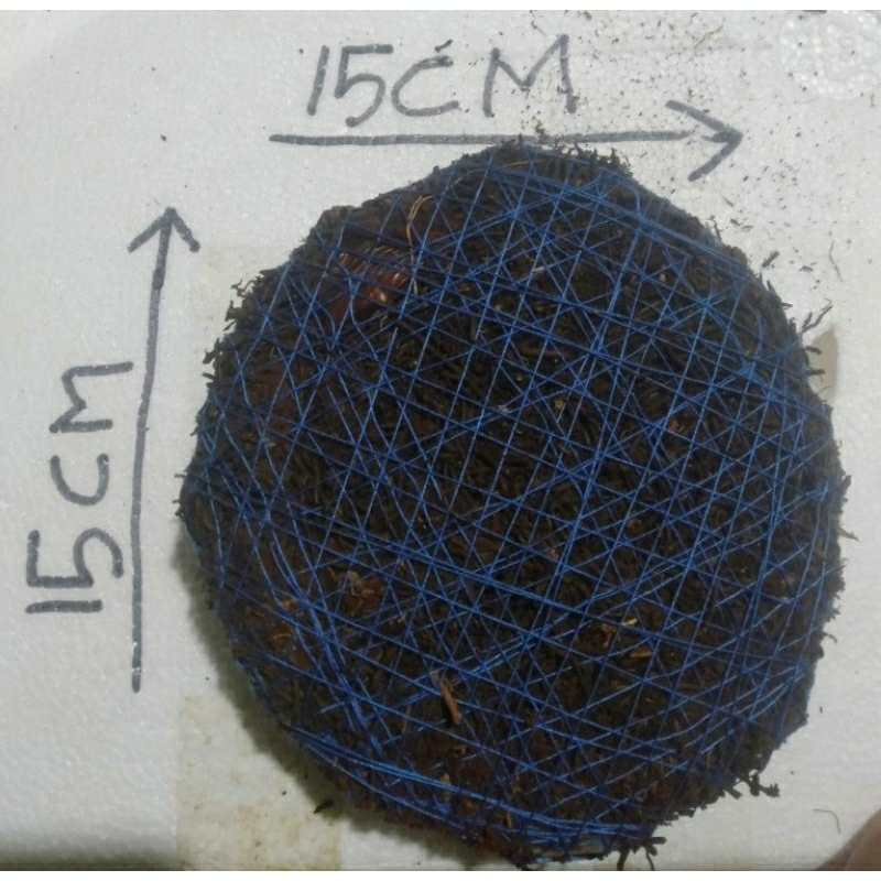 media tanam platycerium dan anggrek