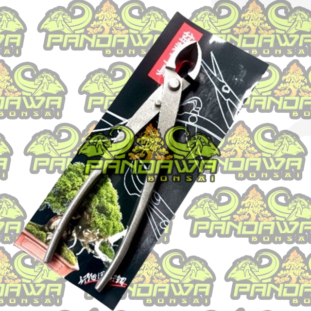 PANDAWA BONSAI-Catok Bonsai MIRING MSTW import Murah