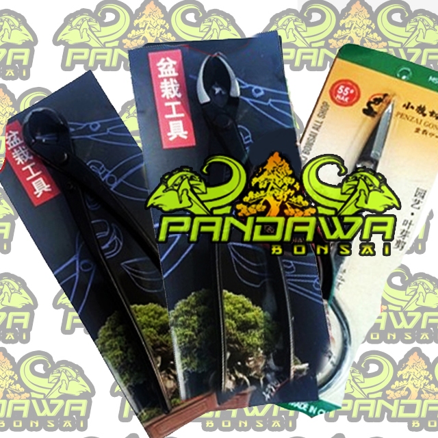 PANDAWA BONSAI-ALAT BONSAI CATOK BONSAI SET MURAH