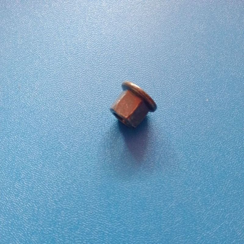 mur head M8 mur tutup kas baut 12