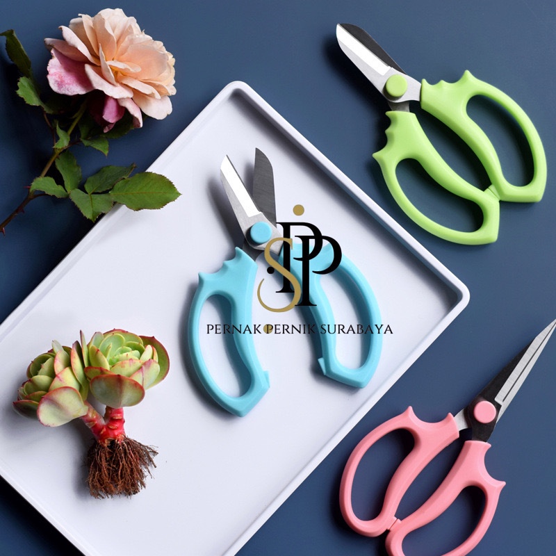 

GUNTING BUNGA ASLI DAHAN TANGKAI BUNGA MAWAR FRESH FLOWER SCISSORS FLORIST EQUIPMENT PERALATAN PERLENGKAPAN BUNGA FLORIST/ GUNTING BUNGA IMPORT/ GUNTING BUNGA KOREA/GUNTING BATANG BUNGA