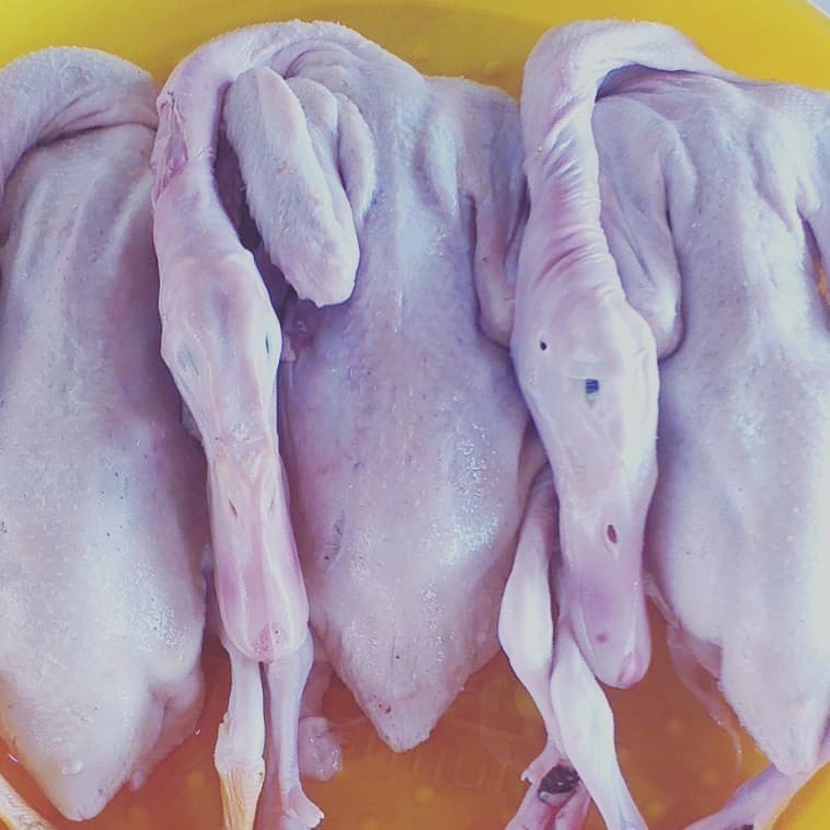 

Paket 10 ekor karkas Bebek Peking 800gr Fres