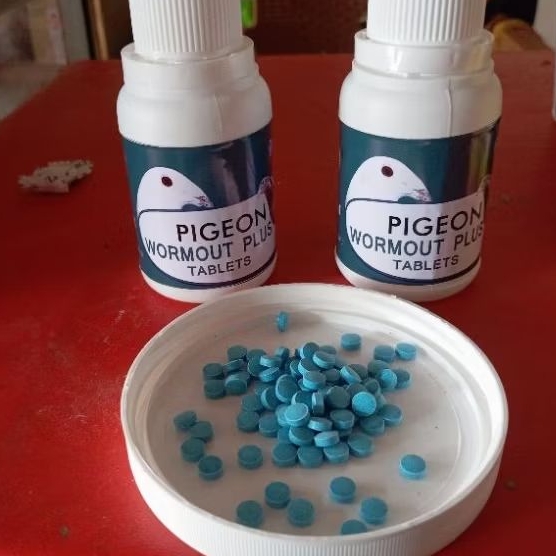 WORMOUT VETAFARM OBAT CACING MERPATI