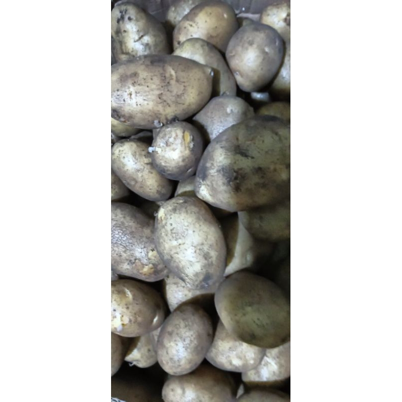 

kentang segar ½ kg