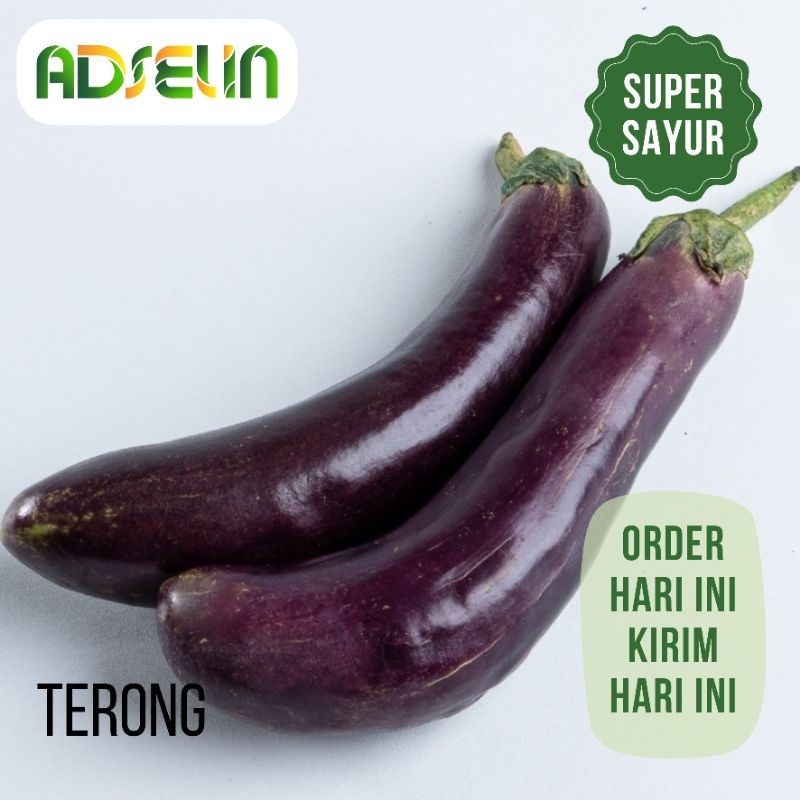

Terong Ungu Bersih 1 Buah Segar Kualitas Super Sayur PENGIRIMAN INSTAN