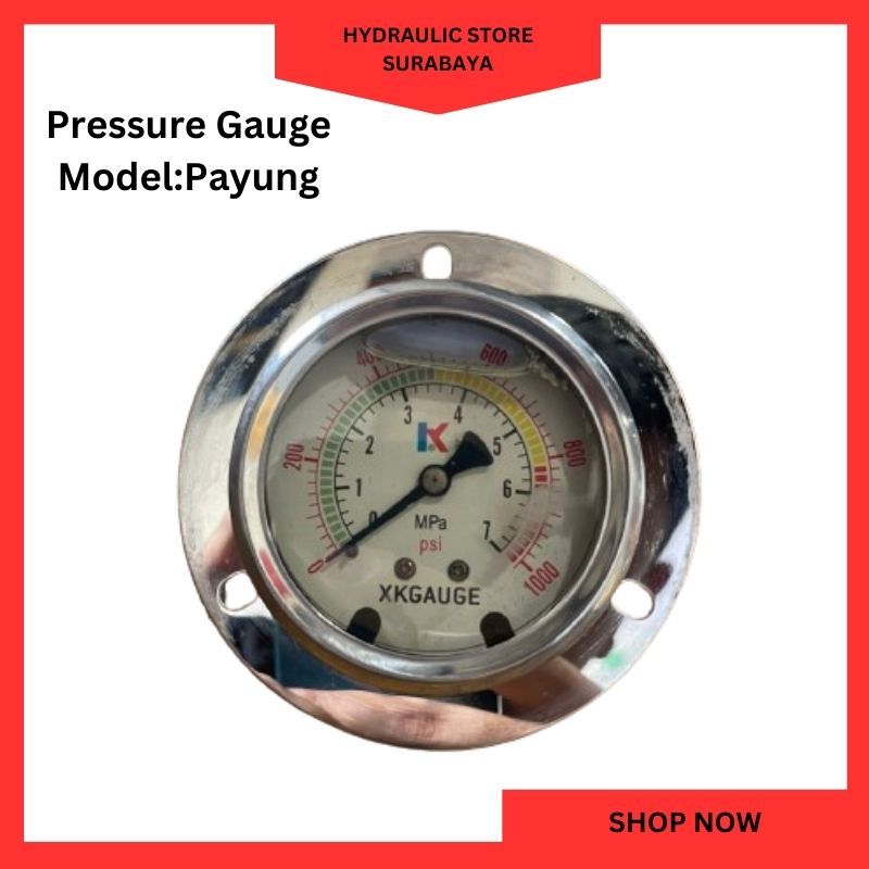 Pressure gauge 70mpa payung XKGAUGE