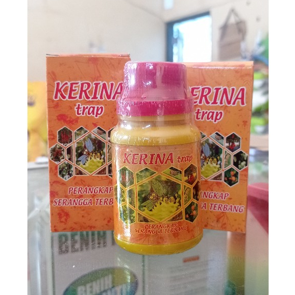 KERINA TRAP LEM LALAT BUAH/perangkap serangga terbang, lalat buah