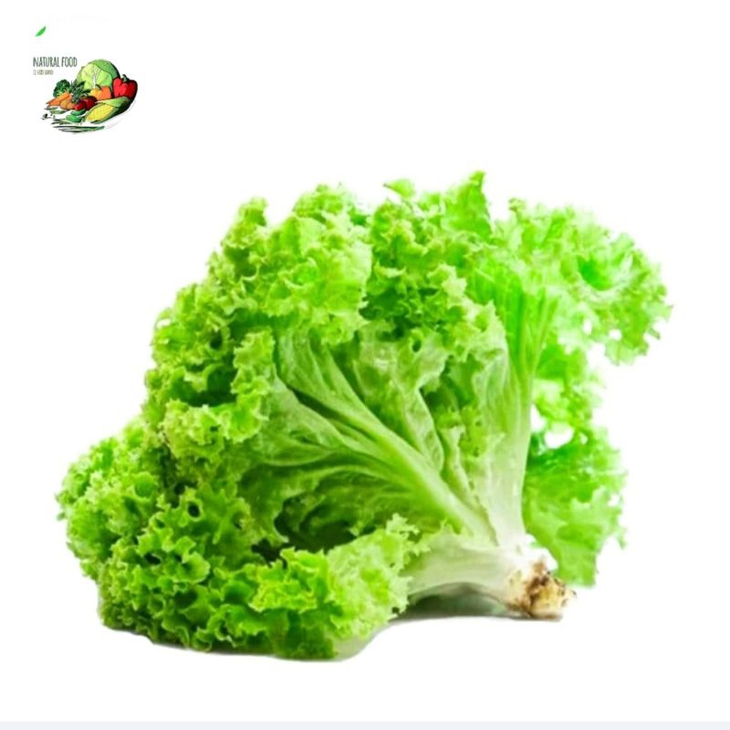 

lettuce, selada kriting, andewi hijau fresh - 250gr