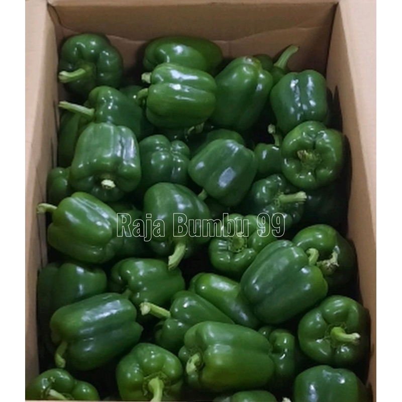 

PAPRIKA HIJAU 1 pcs