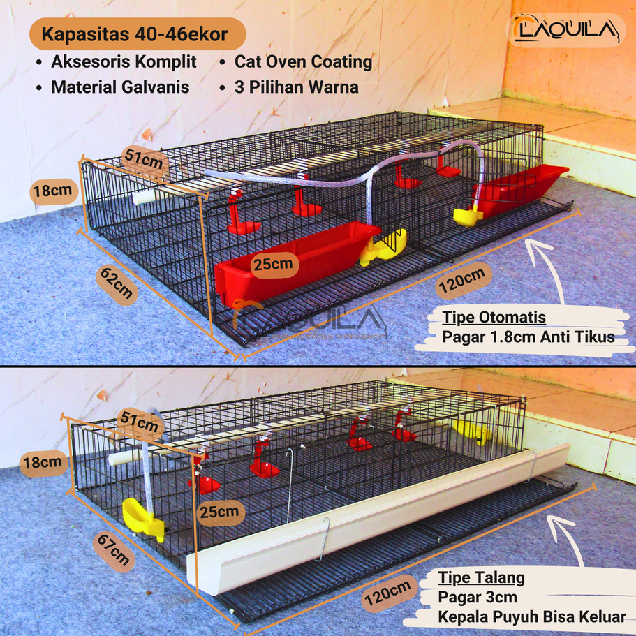 Kandang Puyuh Galvanis Puyuh Petelur 40 - 46 Ekor