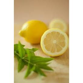 

Lemon California Premium Fresh Produksi Lokal Desa Ngambarsari