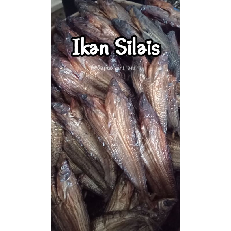 

IKAN SALAI SILAIS 100gr