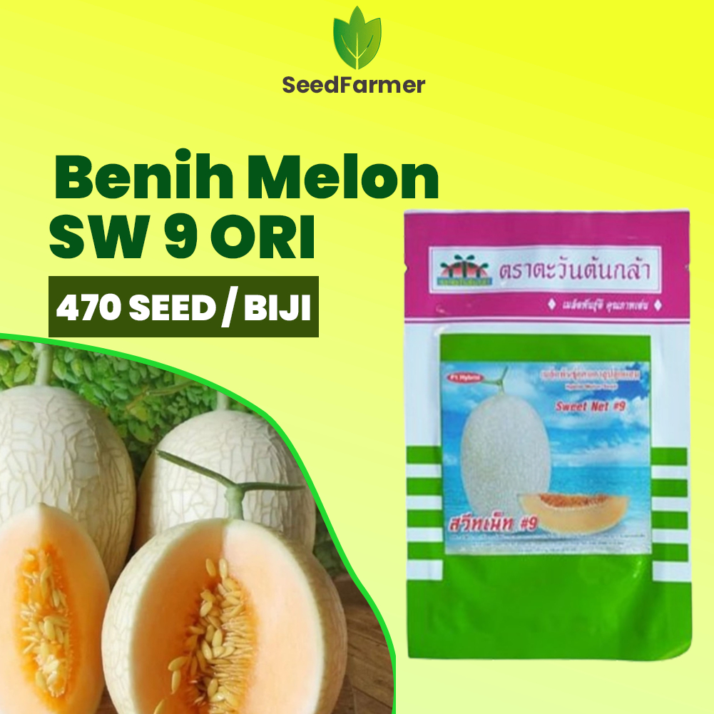 Benih Bibit Melon Sweet Net 9 SW 9 Melon SW9 Original Pabrik kemasan isi 450 - 470 seed biji 10 Gram