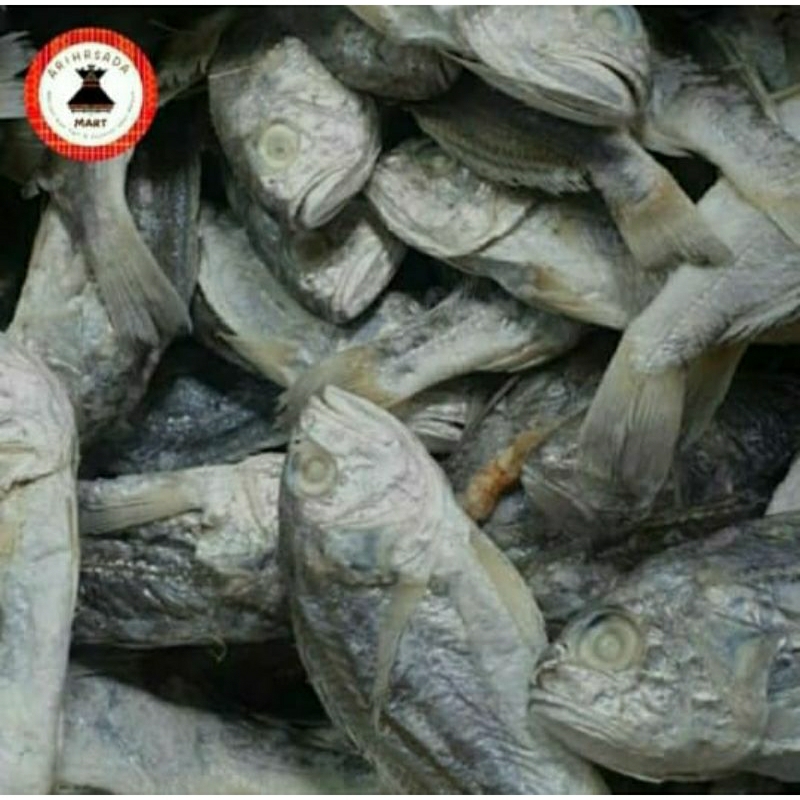 

Ikan kepala batu medan asli 250 gr