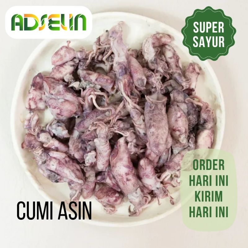 

Cumi Asin Kering 100gr Kualitas Super Sayur