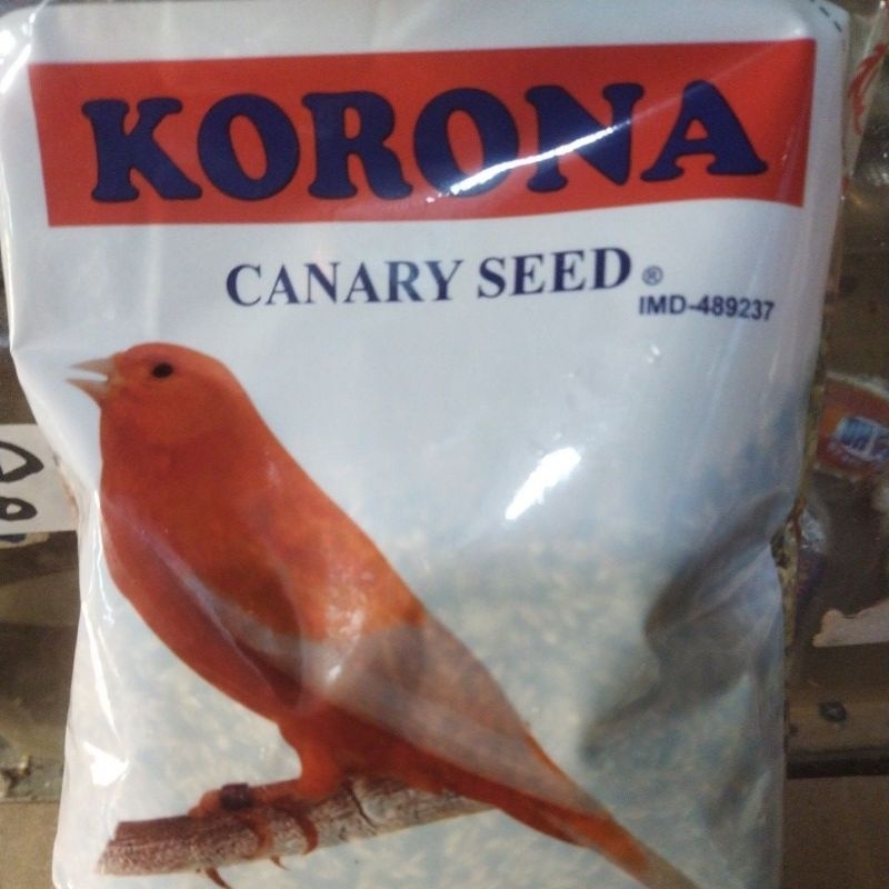 korona seed for kenari