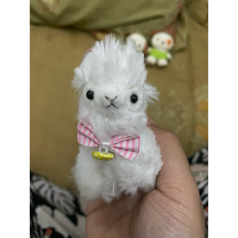Alpaca Amuse