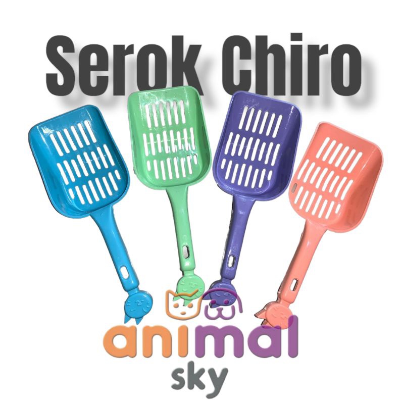 Serok Chiro / Serok pasir kucing