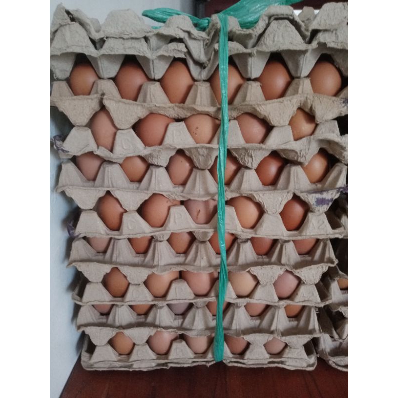 

Telur / Telor 1 Peti / 1 ikat / telur ayam negeri 15 kg