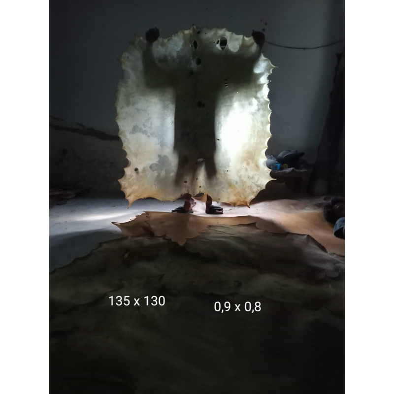 Kulit kering Tipis sapi anakan size kecil