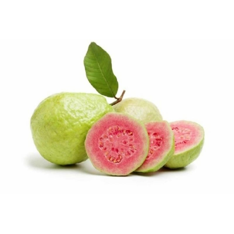 

1 Kg Jambu Biji Merah Segar Langsung Petik Pohon
