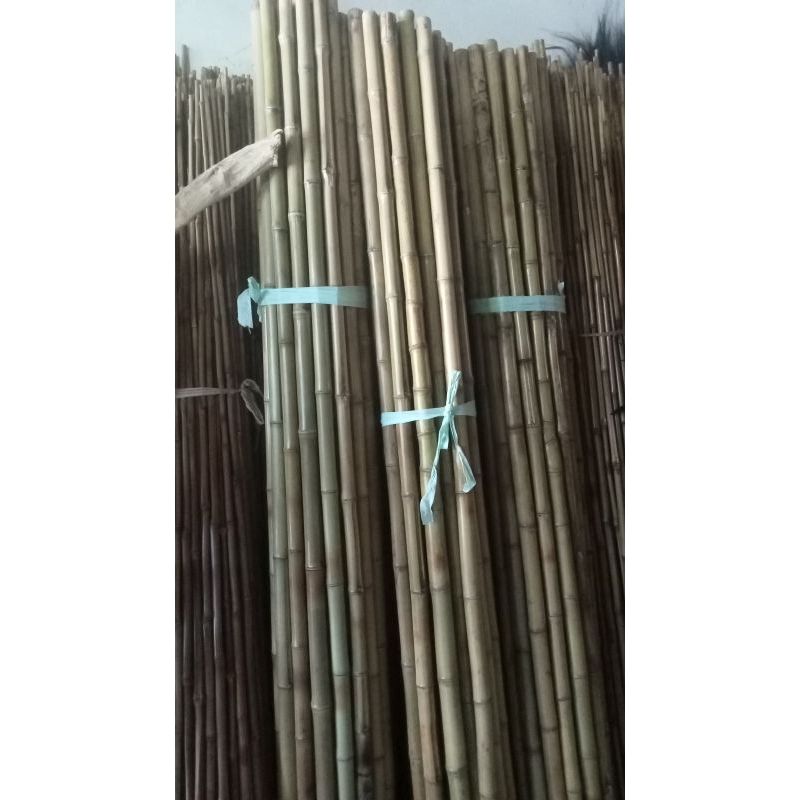 Tongkat Bambu Cendani Kuning Untuk Pramuka Kemah Sekolah