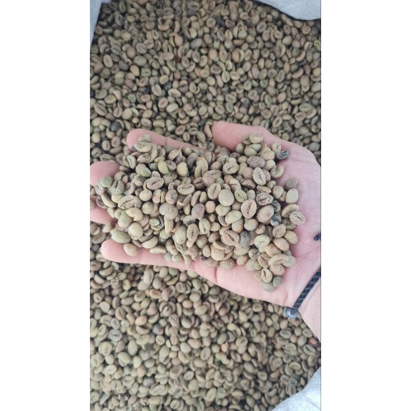 

Green Bean Robusta HONEY Temanggung MURAH