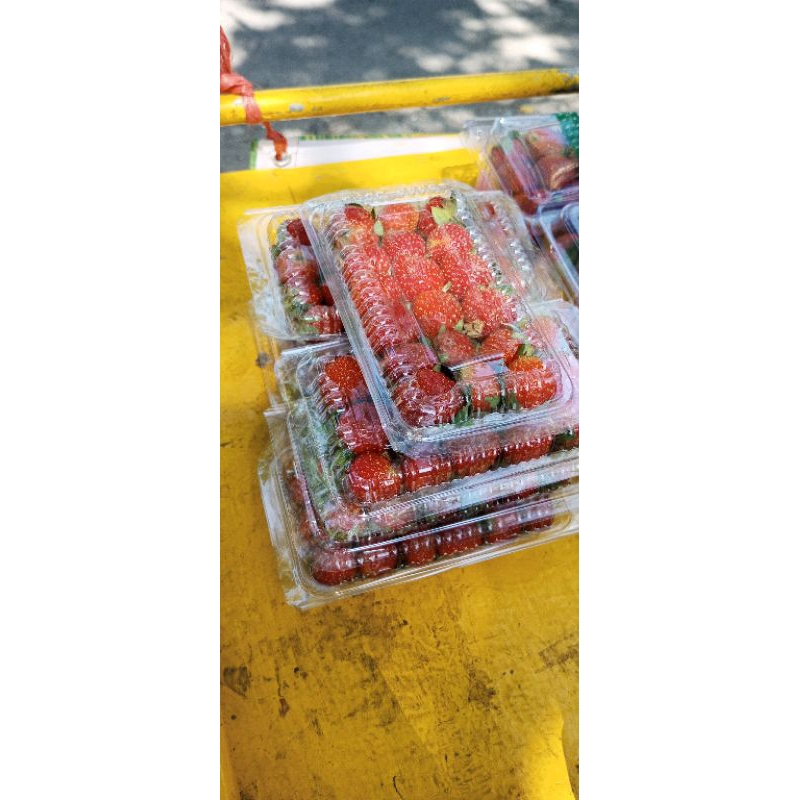 

strawberry ukuran kecil kemasan 80 gram