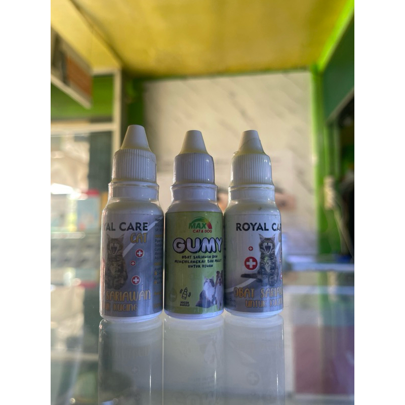 OBAT SARIAWAN KUCING