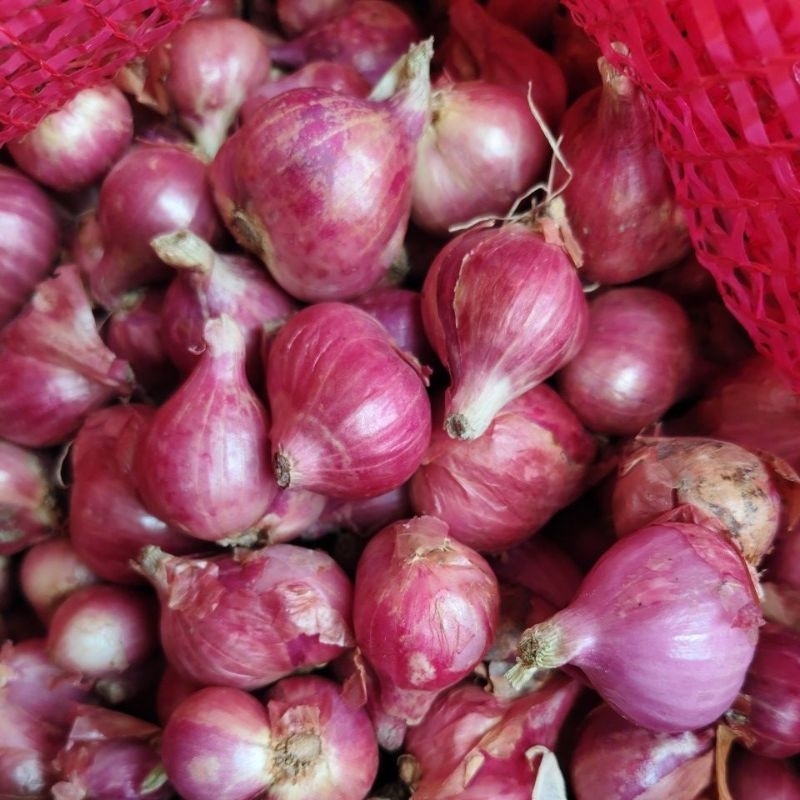 

Bawang Merah 500 gr