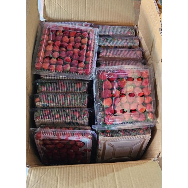 

Strawberry Fresh Ciwidey