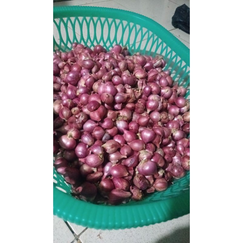 

bawang merah