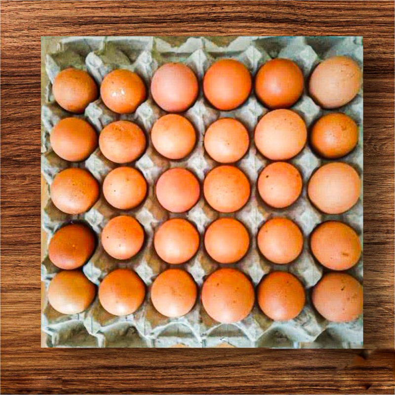 

Telur Ayam 1 Krat isi 30 pcs