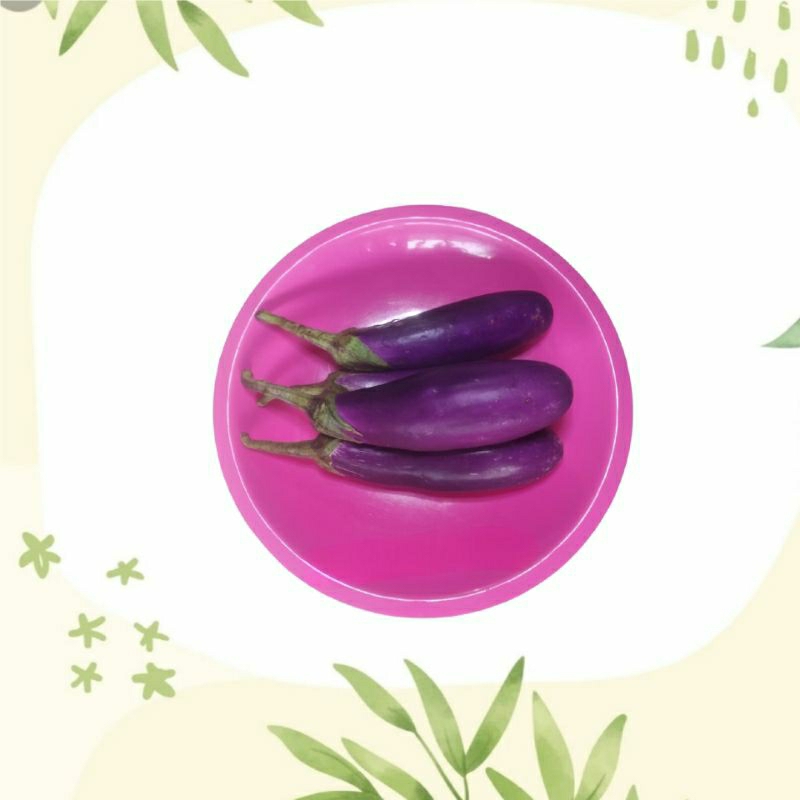 

Terong Ungu Fresh 500 gr