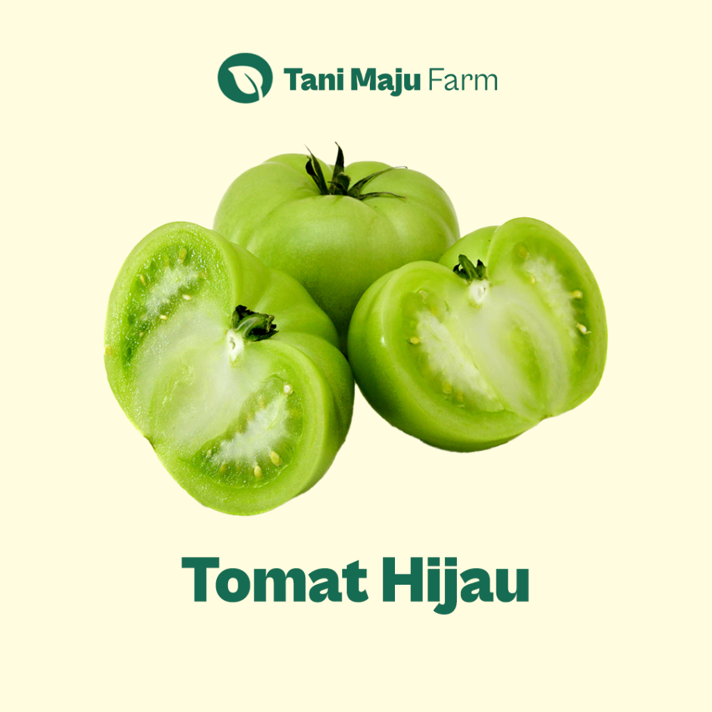 

Tomat Hijau Ijo Green Tomato Fresh Organik (250 gram) - INSTANT / SAMEDAY - Sayuran