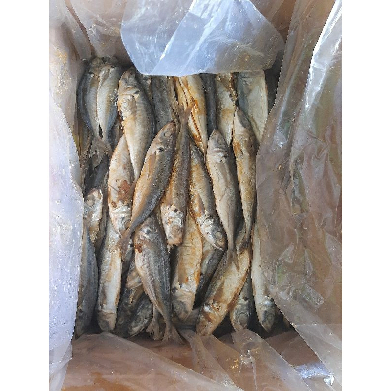 

ikan asin japuh layang