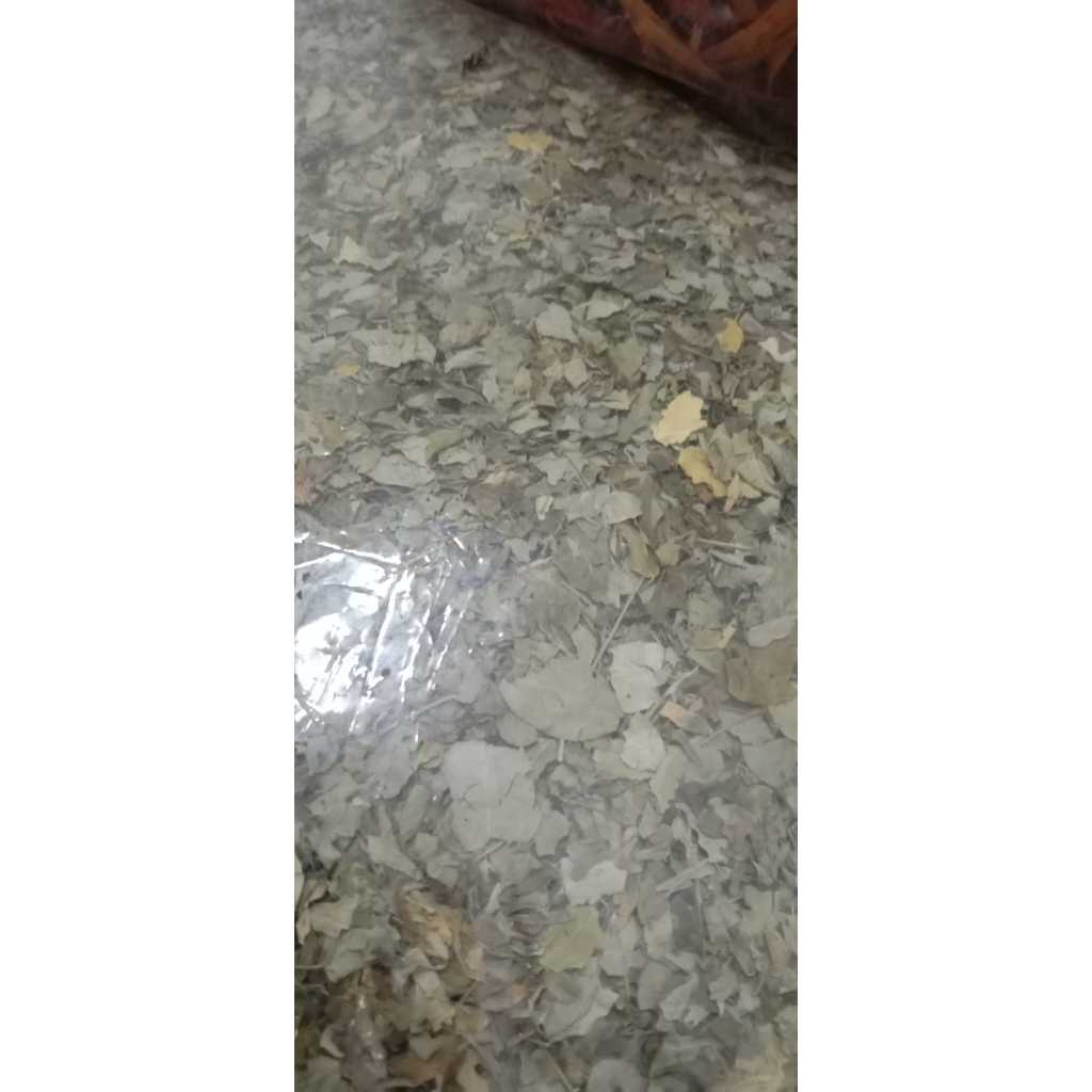 

Daun Kelor 500 gr / HERBS Siap Seduh Moringa Tea Premium / Dried Moringa Leaves Premium