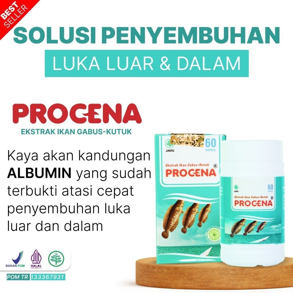 Kapsul Ikan Gabus Ekstrak Kutuk Procena Murni Albumin Protein Tubuh Obat Pasca Operasi