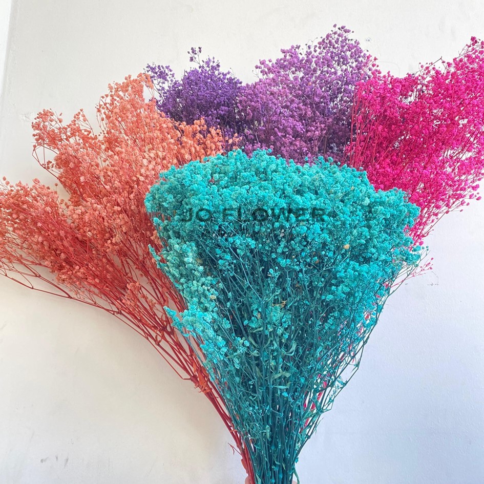 [1 IKAT] Preserved Babybreath Grade A/Babybreath Kering Bunga Abadi Eternal Dried Flower Asli