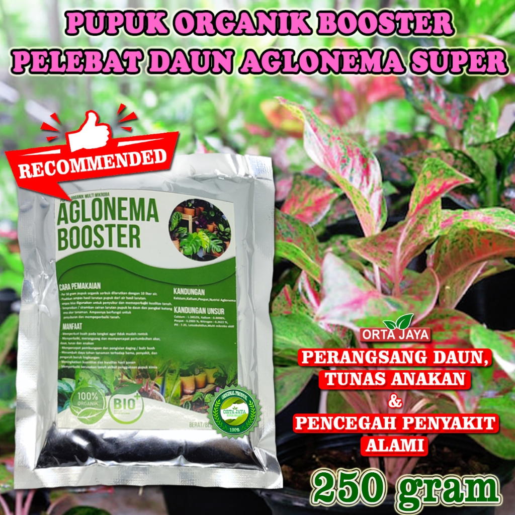 Pupuk Organik Aglonema Perangsang Pertumbuhan Tunas dan Pecerah Warna Daun Aglonema